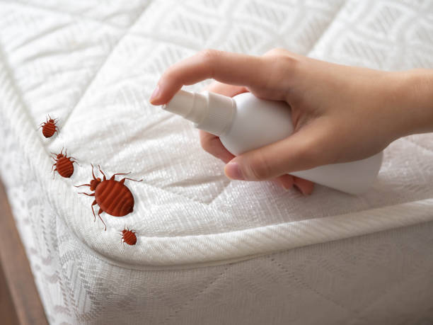 Best Pest Control for Multi-Family Homes  in Pacific City, OR